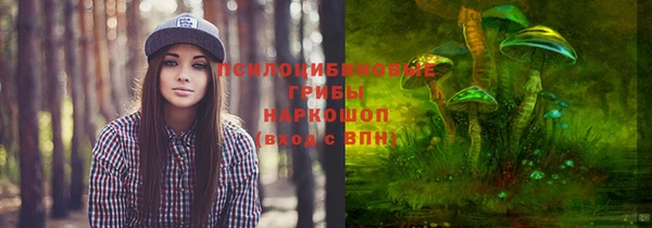 ALPHA PVP Алексин
